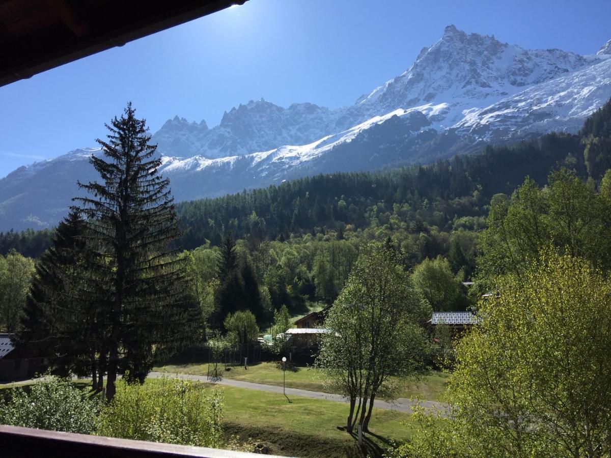 Appartement Face Au Mont Blanc & Glaciers Chamonix Eksteriør bilde